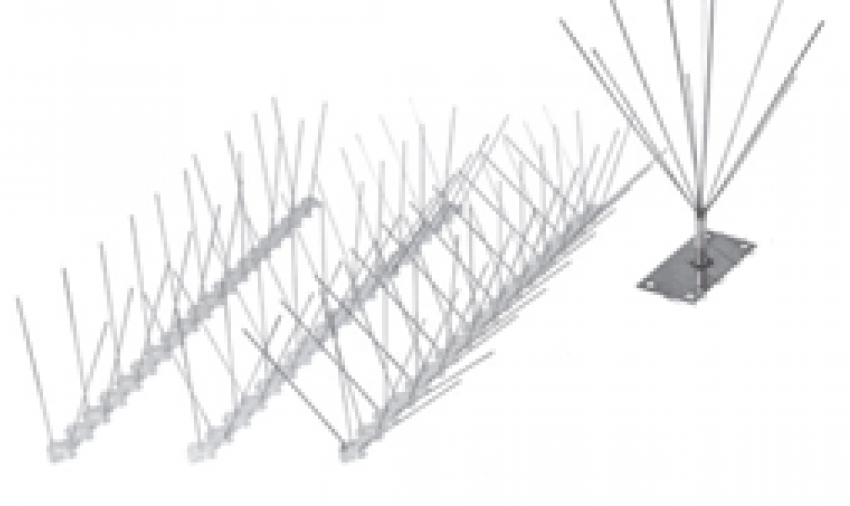 Púas anti aves